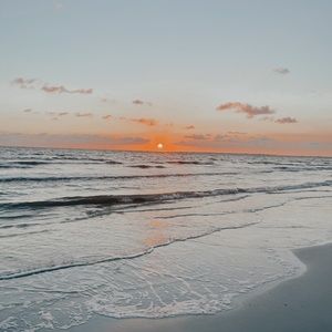 Meet your Posher, Paige